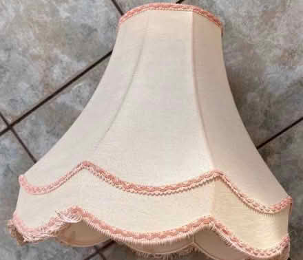 Photo of free Large pink lampshade (West Derby L12) #1
