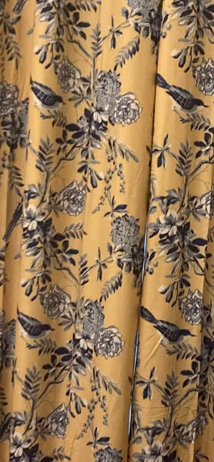 Photo of free Yellow Bird curtains (Set of 4 ) (Scaggsville) #1
