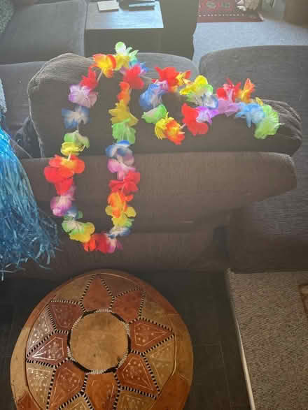 Photo of free Two dressing up hula skirts with accessories (Emerson's Green BS16) #3