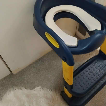 Photo of free Toilet training seat and Step (Woodside TF7) #3