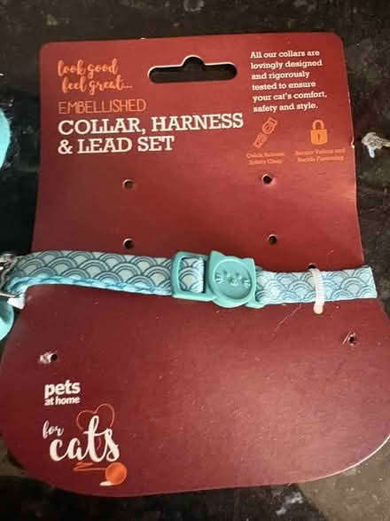 Photo of free Cat harness lead and a collar (Hove BN3) #1