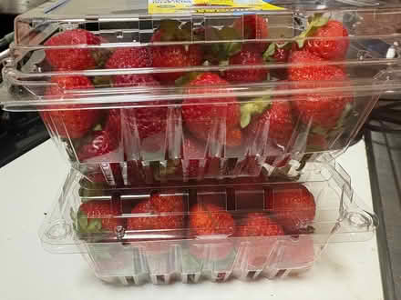 Photo of free Strawberries (Harlem) #3