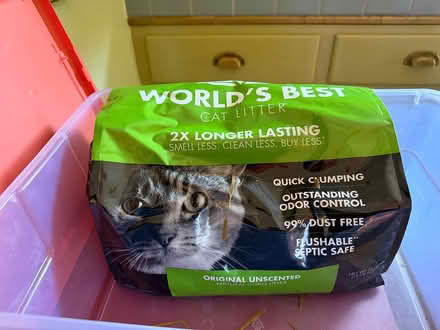 Photo of free 1/3 bag cat litter / food (Oakland near lake Merritt) #1