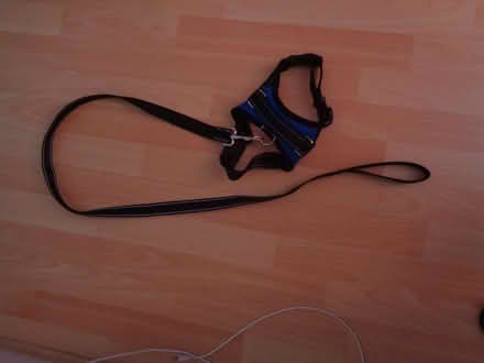 Photo of free Dog Harness with lead (Brockwell Park SW2) #1
