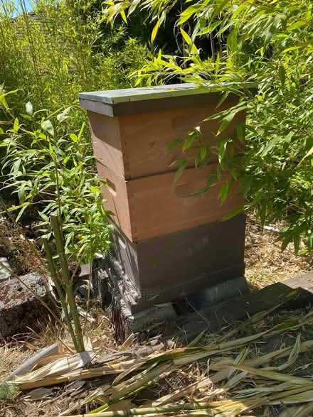 Photo of free Bee Keeping Supplies (W Seattle) (West Seattle) #2