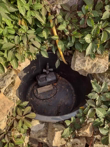 Photo of free Lion spitter, pond and pump (Sherwood NG5) #1