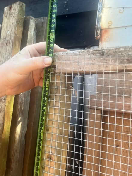 Photo of free Aviary panel (Broomfield CM1) #4
