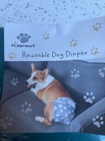 Photo of free Reusable Dog Diapers x 3 (Chichester PO19) #1