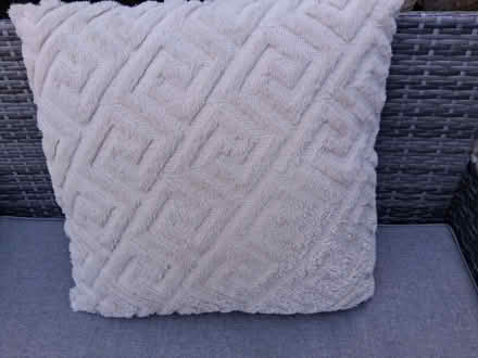 Photo of free Cream, fluffy patterned cushion (Wildridings RG12) #2
