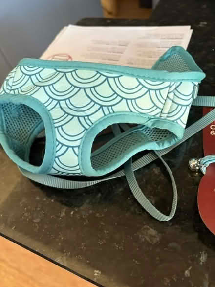 Photo of free Cat harness lead and a collar (Hove BN3) #2