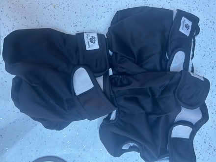 Photo of free Reusable Dog Diapers x 3 (Chichester PO19) #3