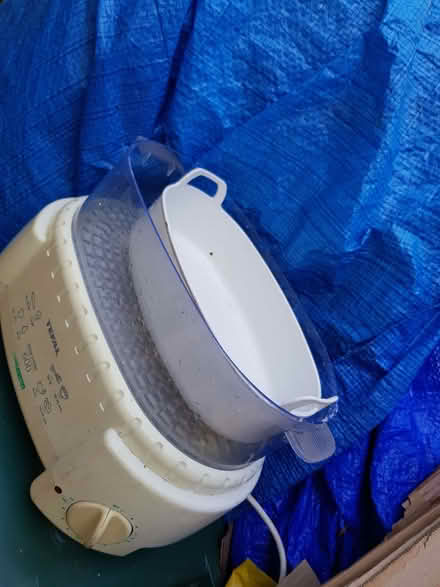 Photo of free Tefal steamer (Berkhamsted HP4) #1