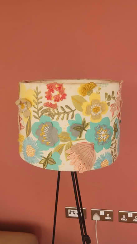 Photo of free Tripod floor lamp(Anthropologie) (Bow E3) #1