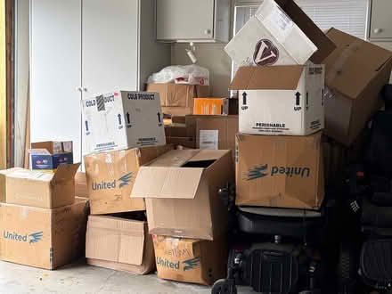 Photo of free Moving Boxes (Cutten) #1