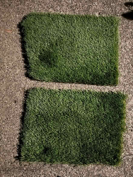 Photo of free Artificial grass mats (1075 Valencia Avenue) #1