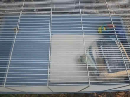 Photo of free Hamster Cage (West End SO30) #3