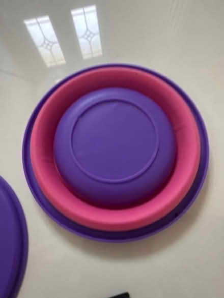 Photo of free Foldable small pot with lid (CO4 9 Colchester) #2