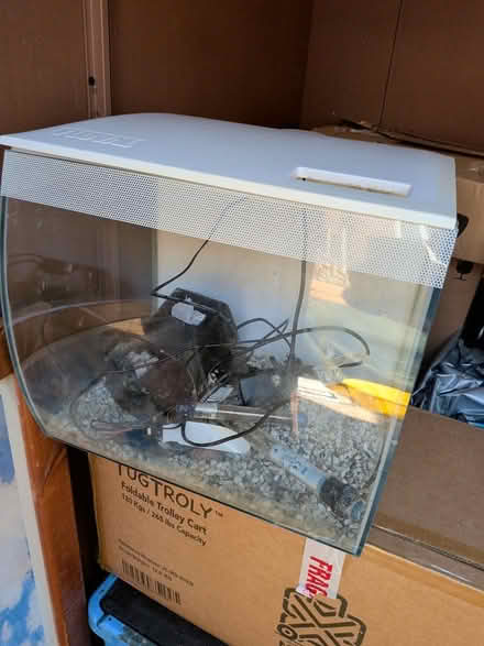 Photo of free Small fluvial fishtank (BR1 bickley) #1