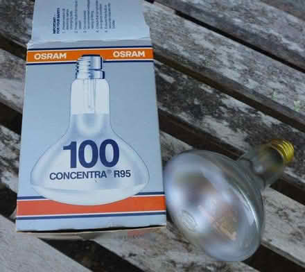 Photo of free Lightbulb (Emsworth PO10) #2