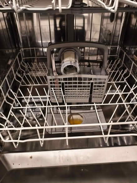 Photo of free Bush Dishwasher (Ballyree BT19) #4