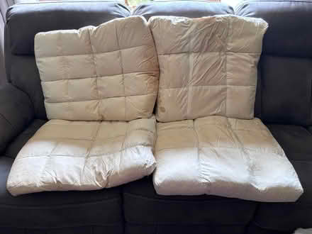 Photo of free Four Down chair cushions (Broomall - Lawrence Park area) #1