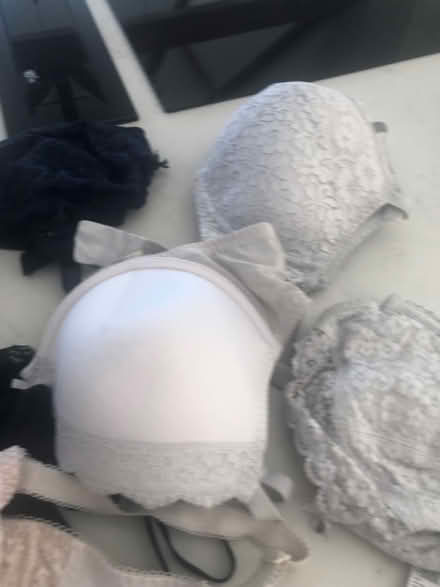 Photo of free Bras 34F (Ware SG12) #3