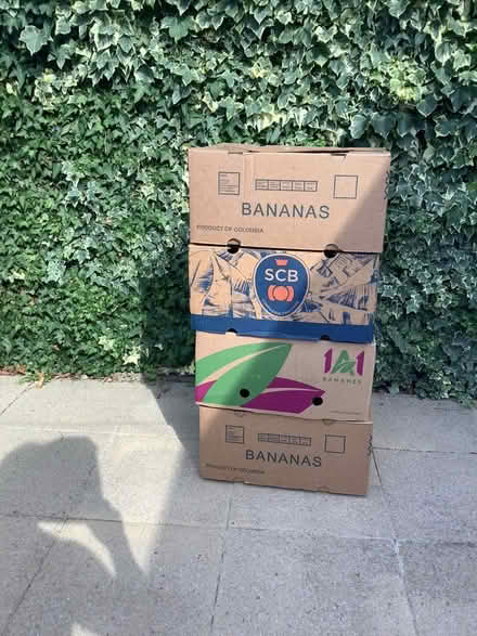 Photo of free Banana boxes (Woodford NN14) #1