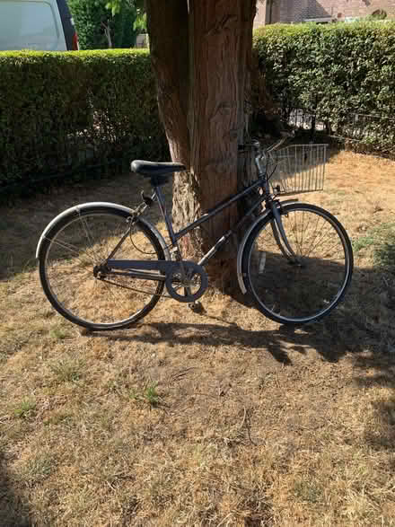 Photo of free Ladies bike (AL7 3NH) #1