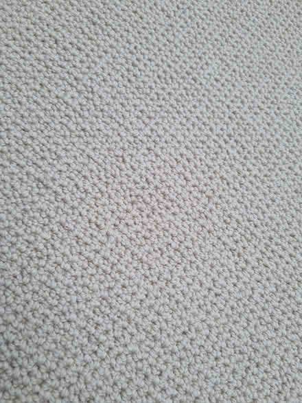 Photo of free Long cream wool carpet offcut (Hunters Bar S11) #2