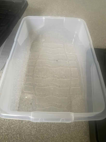 Photo of free X2 storage boxes with lids (Torquay TQ2) #2