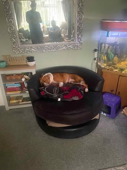 Photo of free Cuddles chair (Llantwit Major CF61) #1