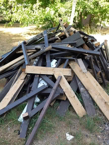 Photo of free Wood (Blunham) #3