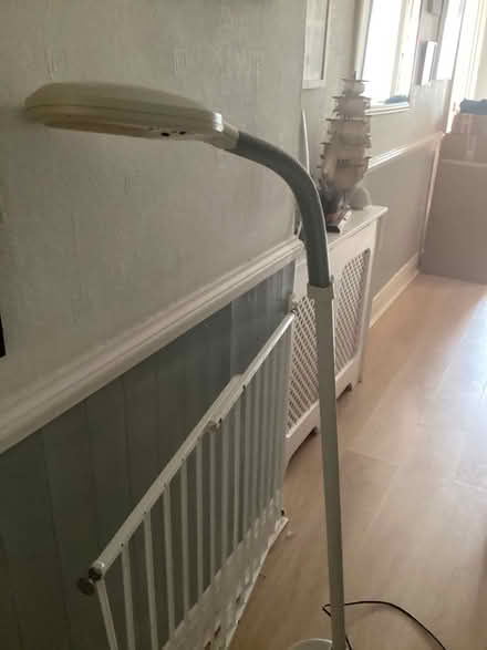 Photo of free Floor Standing Reading Light (St Budeaux PL5) #1