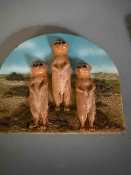 Photo of free Meerkat fridge magnet (Westbury Wilts BA13) #1