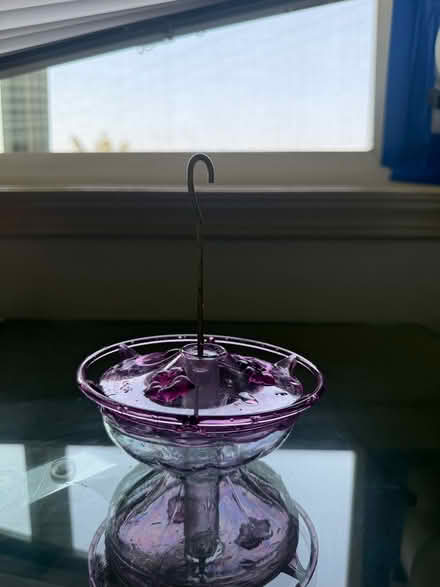 Photo of free Petunias and purple hummer feeder (Eastlake) #2