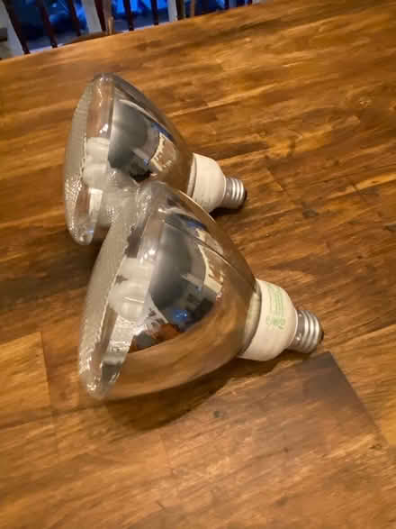 Photo of free Fluorescent flood light bulbs x 2 (Orleans) #1