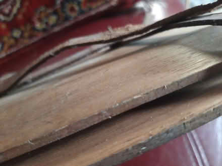 Photo of free Vintage flower press ? (Malvern WR14) #3
