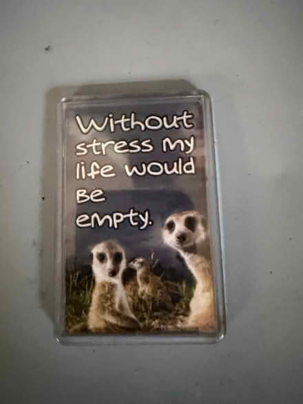 Photo of free Fridge magnet (Westbury Wilts BA13) #1