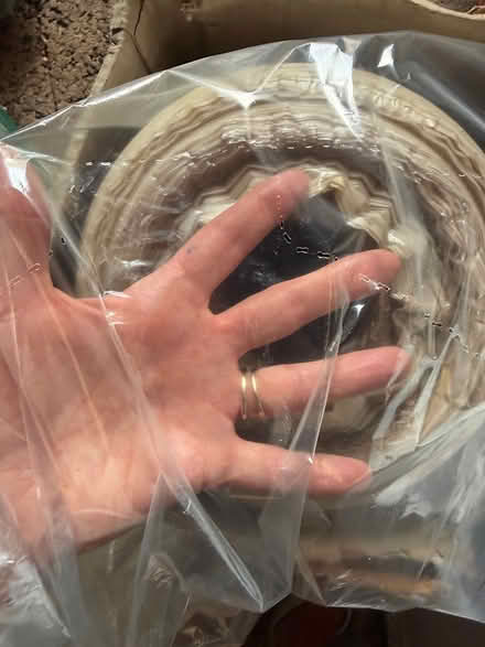 Photo of free Lge roll of hanging clothes bags (Shirley, Croydon CR0) #2