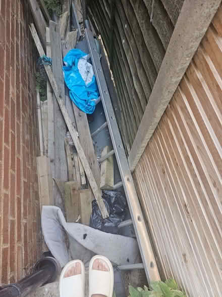 Photo of free Ladder (Bromham MK43) #1