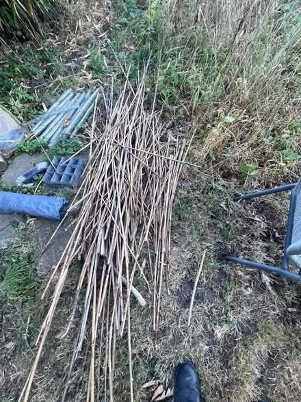 Photo of free Gardening support canes (Neatishead NR12) #1