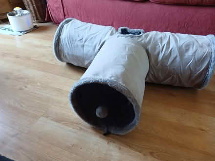 Photo of free Cat tunnel (OX4 Temple Cowley) #2