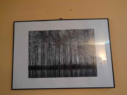 Photo of free Framed B&W Forest Print (101x72cm) (Bracknell RG12) #1