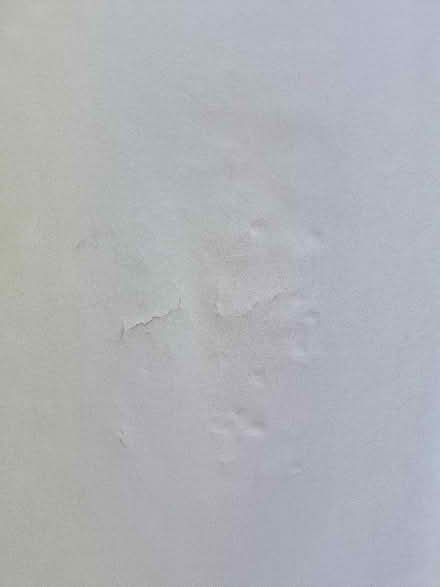 Photo of free Kingsize bed base, mattress and Headboard (Calderwood G74) #2