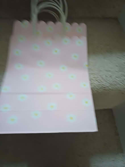 Photo of free Party bags (Felden HP3) #2