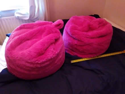 Photo of free Large Bean Bags (Round Hill BN2) #1
