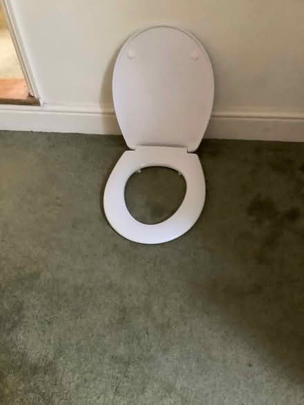 Photo of free Toilet seat (Ipswich IP4) #1
