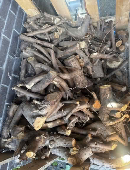 Photo of free firewood (Kilternan) #2