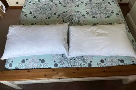 Photo of free 2 x soft feather pillows (TA18) #1