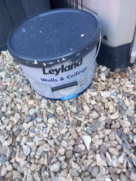 Photo of free Large White Matt emulsion paint (Cam GL11) #1